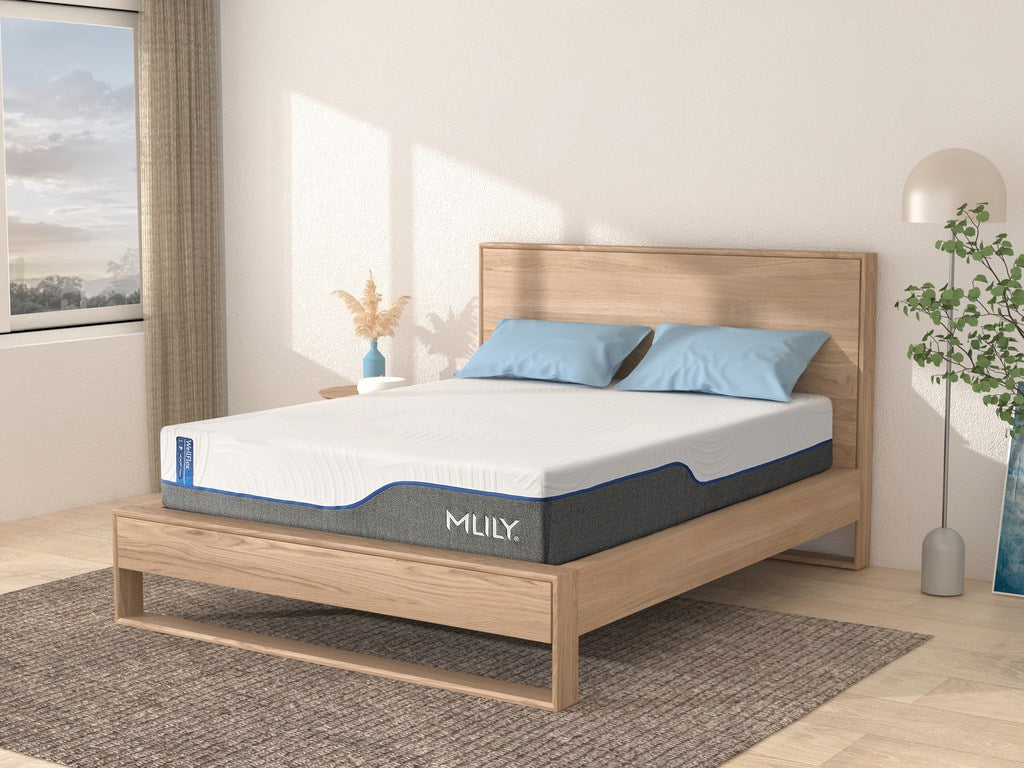 WellFlex 3.0 Plusher